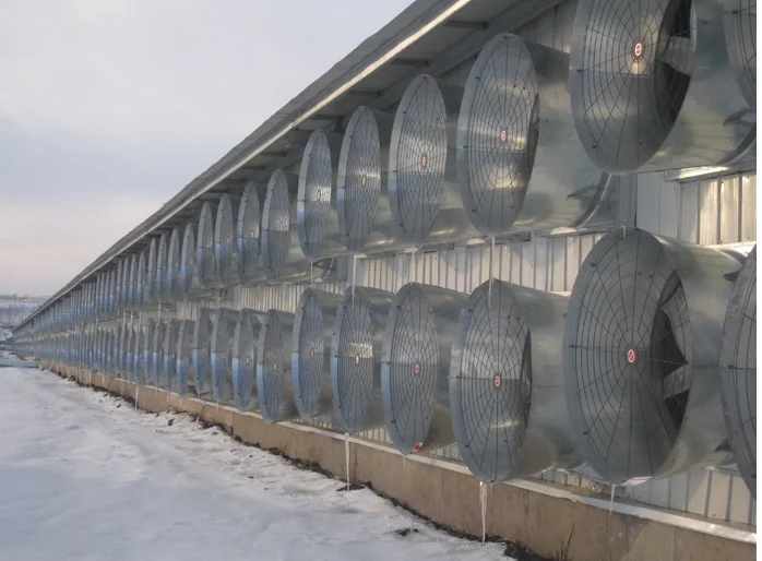 Steel Blade Axial Fan, 1380mm, 50inch, Wall, Stainless - detail 20