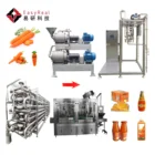Hot Selling Industrial scale carrot pulp juice puree production making machine processing line