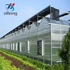 /product-detail/intelligent-industrial-4-season-big-agriculture-productive-tent-saw-tooth-sawtooth-venlo-hydroponic-poly-house-greenhouse-62285755690.html
