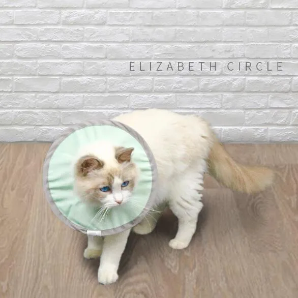 Wholesale Custom Pet Cat Elizabeth Collar Recovery Elizabeth Dog Adjustable E-collar
Wholesale Custom Pet Cat Elizabeth Collar Recovery Elizabeth Dog Adjustable E-collar