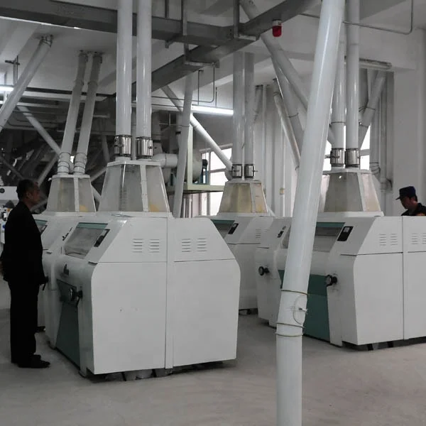 20 - 500 TPD corn milling plant_5