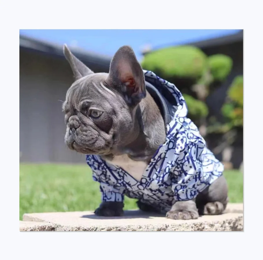 Support customized high-end luxury D brands pet jackets 
Support customized high-end luxury D brands pet jackets