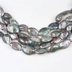 Abalone 25-30mm Natural Polished Abalone Shell Natural Craft Seashell