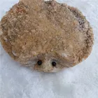 Wholesale Natural Hand Carved Quartz Crystal Craft Amethyst Cluster Geode Hedgehog For Gift