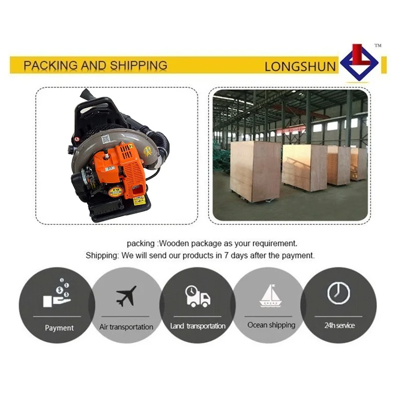 Backpack Leaf Blower, LONGSHUN, 63.3cc - detail 10