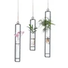 /product-detail/small-test-tube-hanging-glass-planter-bud-flower-vase-terrarium-container-for-home-decoration-green-plants-wedding-62221989686.html