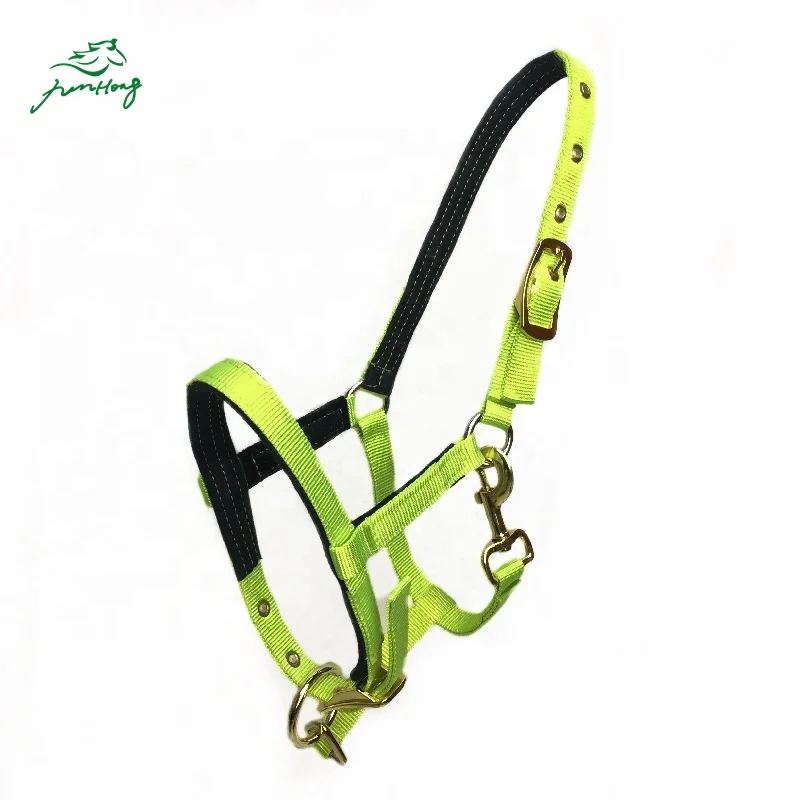 Christmas Professionals Choice Horse Headcollar Halter Equine English Horse Headcollar, Grass green/red/purple/pink/blue
Christmas Professionals Choice Horse Headcollar Halter Equine English Horse Headcollar, Grass green/red/purple/pink/blue