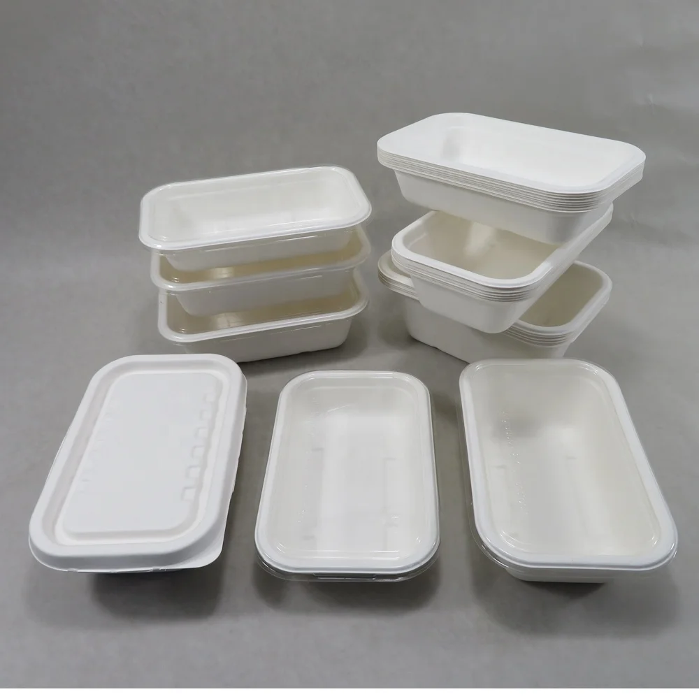Biodegradable Disposable Sugarcane Bamboo Food Container Tray