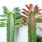 Cactus Green Plant Artificial Wholesale Green Plant Crafts Flowers Decorative Simulation Artificial Cactus