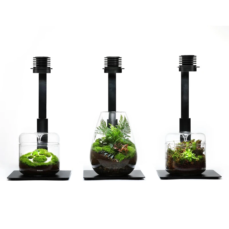Bioloark collection dew cup plant pot tank design glass bottle decoration office decoration
Bioloark collection dew cup plant pot tank design glass bottle decoration office decoration