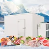 Portable Custom Freezer Cold Room Compressor Sizing