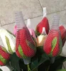 Protective Flower Bud Plastic Sleeve Mesh Net