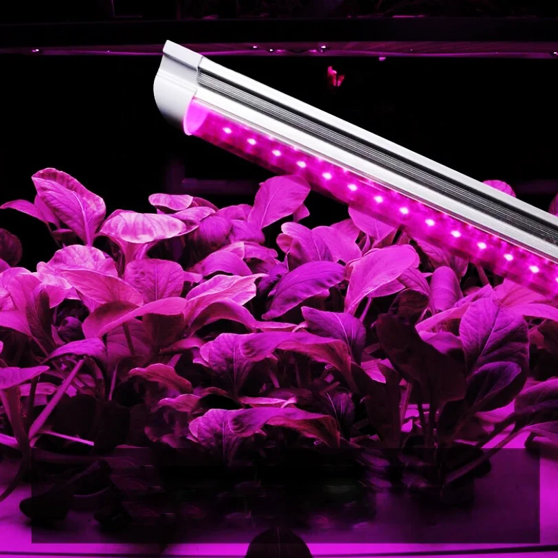 

220V T8 36W 1.2meters 250leds led grow light tube double rows plant lamp with waterproof IP65 full spectrum for strawberry