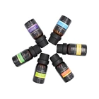 100% pure high quality essential oil skin body oil massage for personal skincare 6pcs/sets