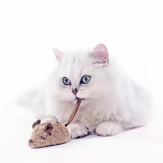 Hot Selling Pet Cats Dogs Colored Simulation Mouse Chew Toy Lovely Design Mouse Shaped Pet Cat Interactive Toys, White, black, gray, brown
Hot Selling Pet Cats Dogs Colored Simulation Mouse Chew Toy Lovely Design Mouse Shaped Pet Cat Interactive Toys, White, black, gray, brown