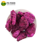 Tropical Fruit Freeze Dry Food Powder White Pitaya Slice Bulk Vacuum Freeze Dried Red Dragon Fruit