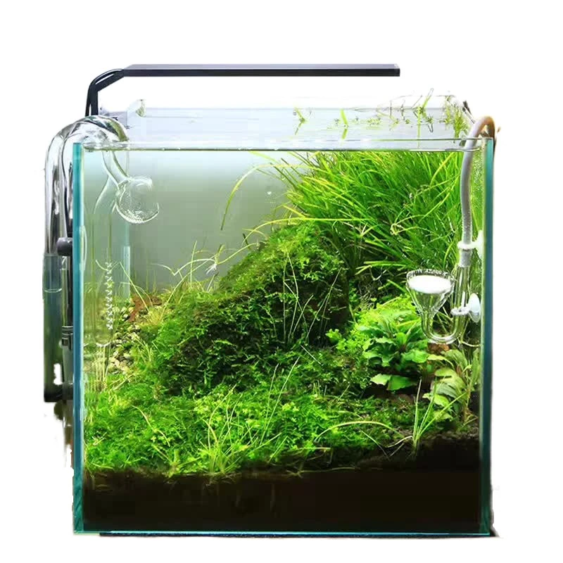 

Chihiros C Series LED Aquarium Lamp Full Spectrum Light Desktop Mini Tank Water Grass Waterproof Fish Tanks Accessories
