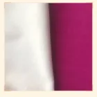 Spandex pongee fabric bonded polar fleece with WR, soft handfeeling and warm for winter blouse