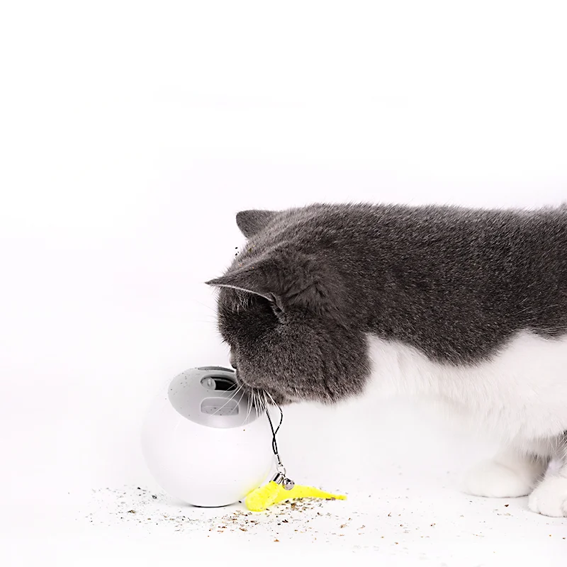 Cat Toy Funny Pet Training Tool Cat Leaking Food Ball Toy Magic Rolling Ball Plastic Cat Toy, White / yellow
Cat Toy Funny Pet Training Tool Cat Leaking Food Ball Toy Magic Rolling Ball Plastic Cat Toy, White / yellow