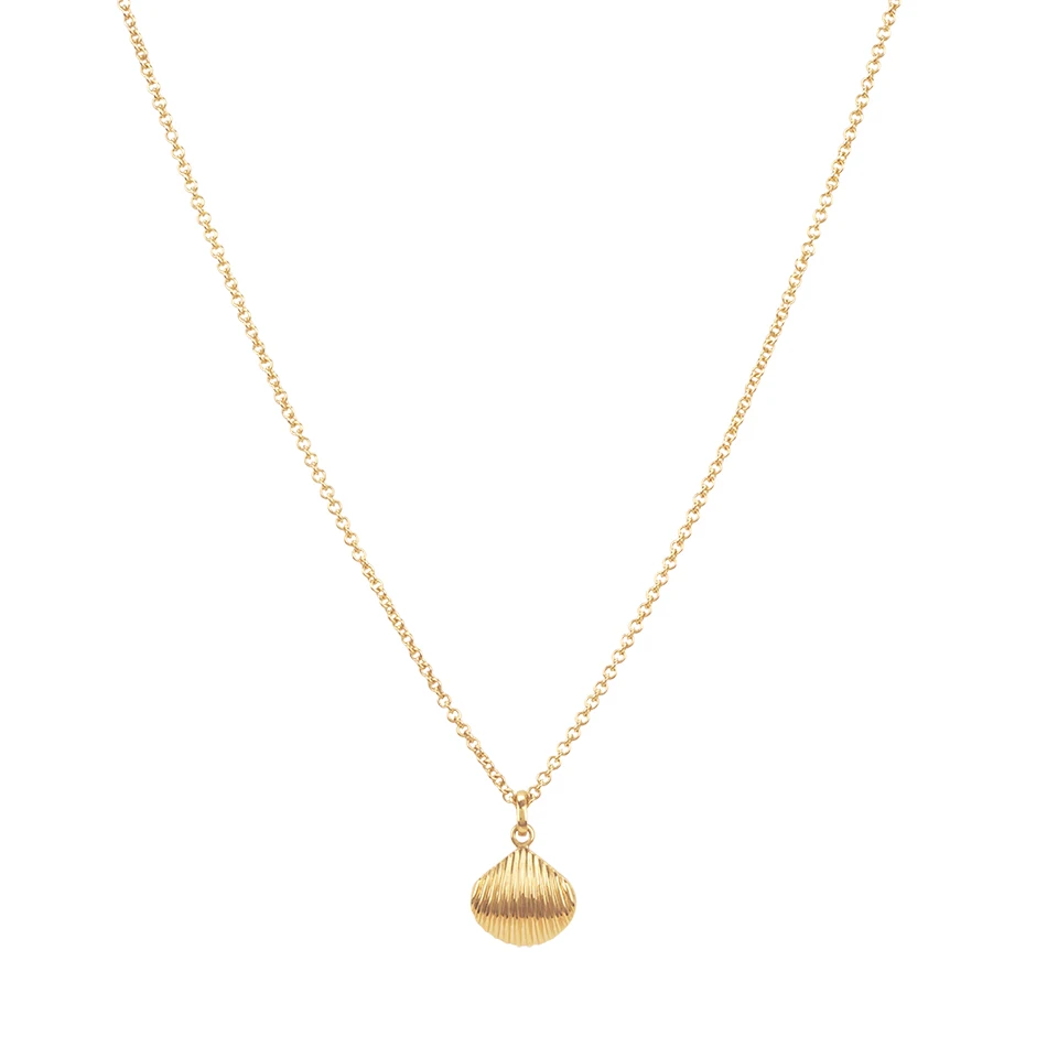 Minimalist Jewelry 925 Sterling Silver 18K gold Plated Striped Shell Pendant Necklace For Woman Engagement Wearing
Minimalist Jewelry 925 Sterling Silver 18K gold Plated Striped Shell Pendant Necklace For Woman Engagement Wearing