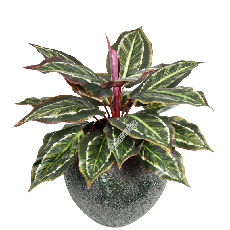 19 leaves rohdea japonica small silk flower 45 cm artificial red plant for wall decoration, Picture
19 leaves rohdea japonica small silk flower 45 cm artificial red plant for wall decoration, Picture