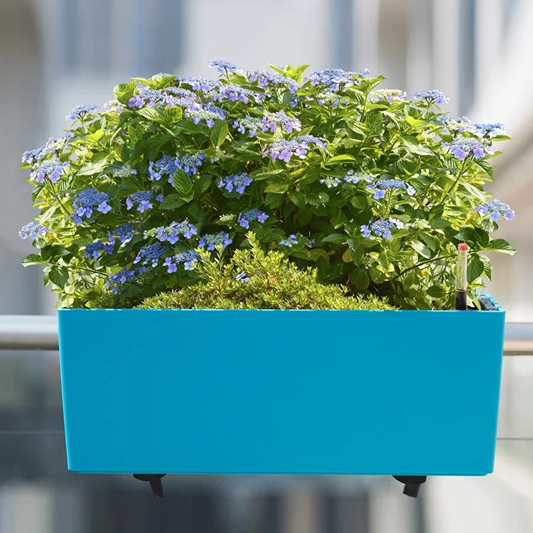 FREE SHIPPING SAMPLE Self Watering Hanging Planter Flower Pot Container Wall Rectangular Planter Boxes Garden Bucket
FREE SHIPPING SAMPLE Self Watering Hanging Planter Flower Pot Container Wall Rectangular Planter Boxes Garden Bucket