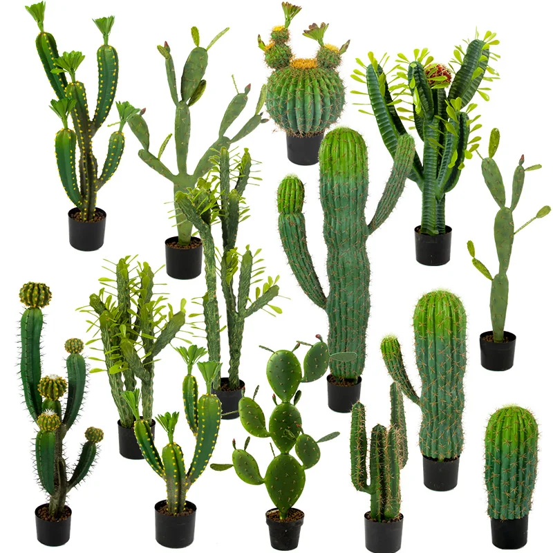 75 cm cheap hot-selling plastic, succulent desert plants, cacti, balls, pillars, artificial trees Artificial plant, Green or yellow edge
75 cm cheap hot-selling plastic, succulent desert plants, cacti, balls, pillars, artificial trees Artificial plant, Green or yellow edge