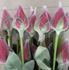Beautiful and Practical Plastic Mesh Rose Flower Bud Protective Sleeve Nets