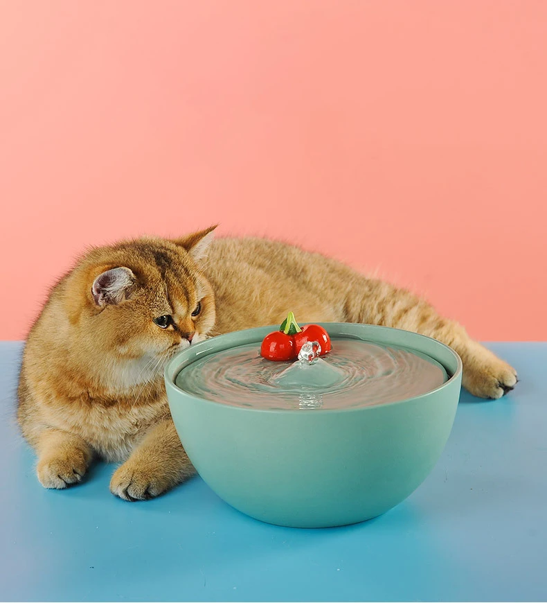 ZMaker Custom Logo 2021 New 1.5L Smart Automatic Pet Dogs Water Dispenser Ceramic Drinking Cat Water Fountain
ZMaker Custom Logo 2021 New 1.5L Smart Automatic Pet Dogs Water Dispenser Ceramic Drinking Cat Water Fountain