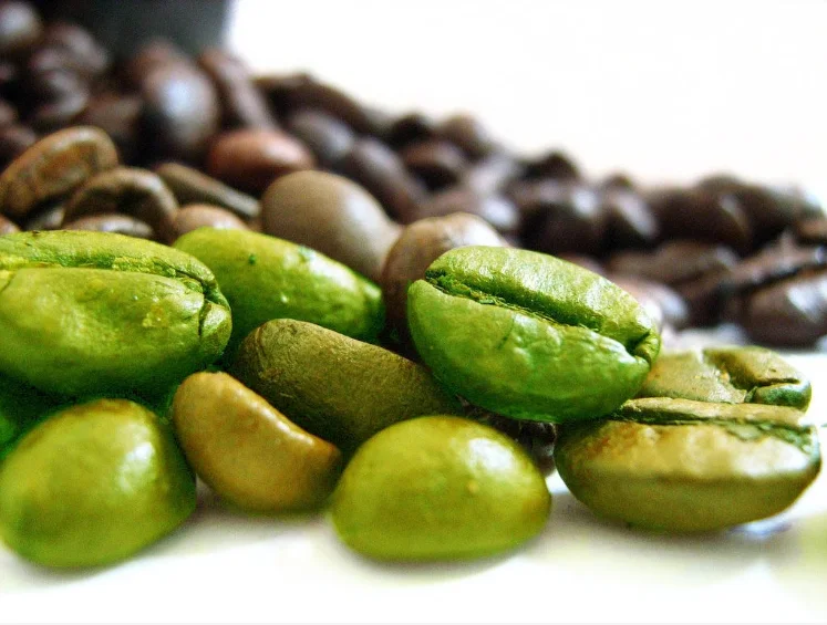 oem weight loss green coffee bean extract