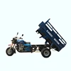 Factory wholesale price 150cc 200cc customizable tricycle 5 wheel petrol cargo tricycle