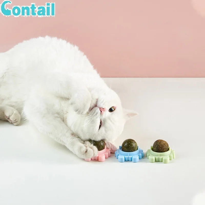 MZC Catnip Mint Toy Ball for Cat Lick Chew Teeth Molar Help Cat Happy & Healthy 2021 New Catnip Ball Stick Cat Mint, Blue / green / pink
MZC Catnip Mint Toy Ball for Cat Lick Chew Teeth Molar Help Cat Happy & Healthy 2021 New Catnip Ball Stick Cat Mint, Blue / green / pink