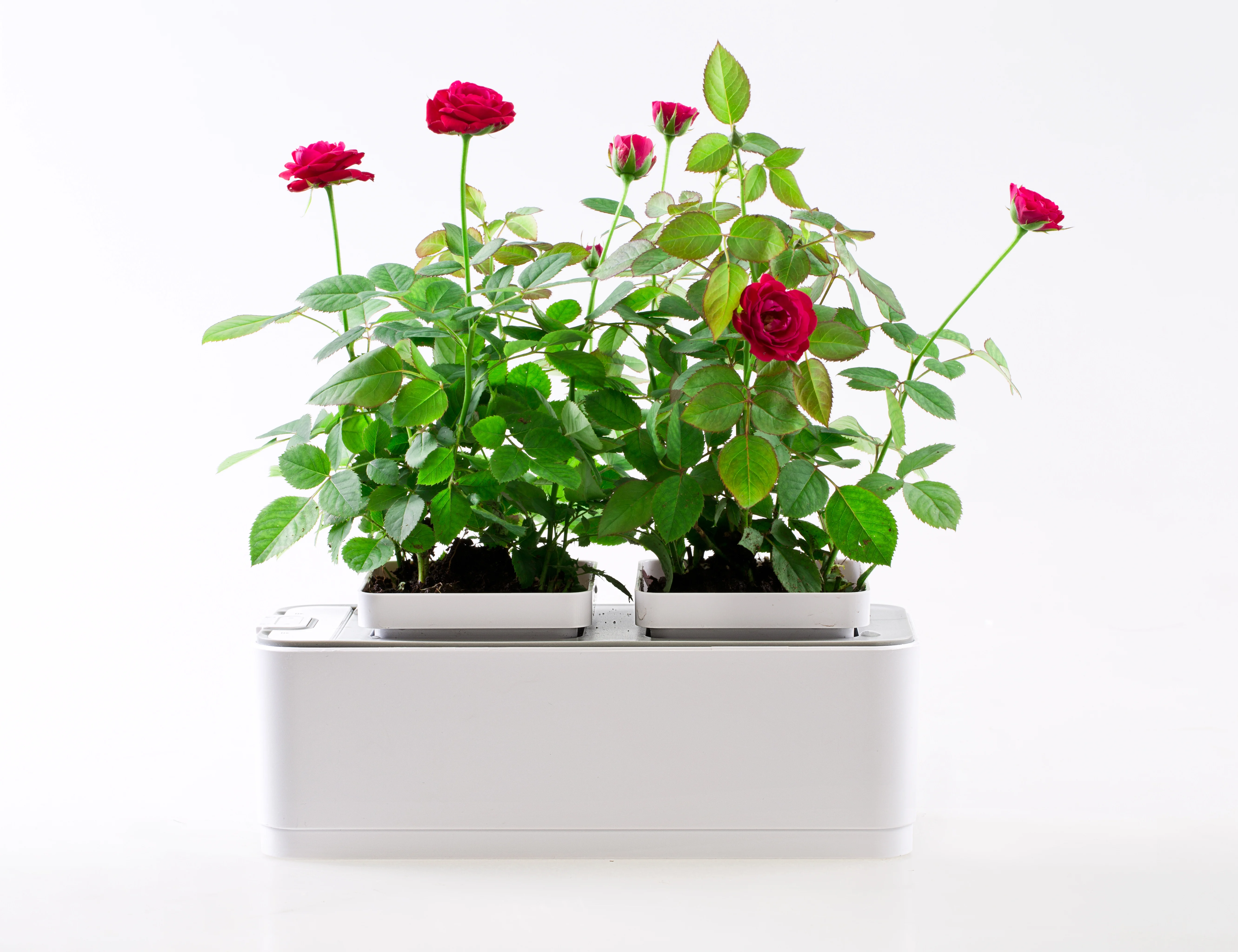 Smart indoor grow vegetable garden plant hydroponics grow system vertical garden wholesale pot mini botanical plant intelligent, White
Smart indoor grow vegetable garden plant hydroponics grow system vertical garden wholesale pot mini botanical plant intelligent, White