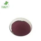 Natural spry dried elderberries black elderberry elderberries fruit juice powder