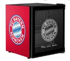 Mini Fridge Cooler Minibar Fridge Display