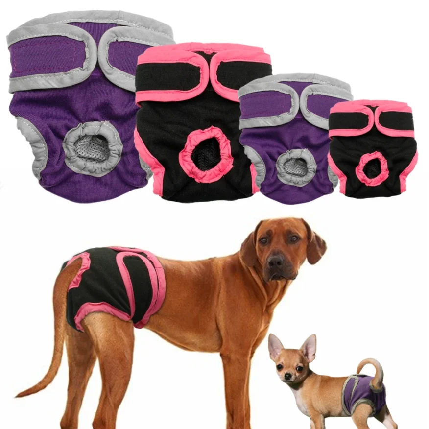Washable Dog Diapers Physiological Shorts Soft Female Girl Dogs Underwear Sanitary Panties, Customized color
Washable Dog Diapers Physiological Shorts Soft Female Girl Dogs Underwear Sanitary Panties, Customized color