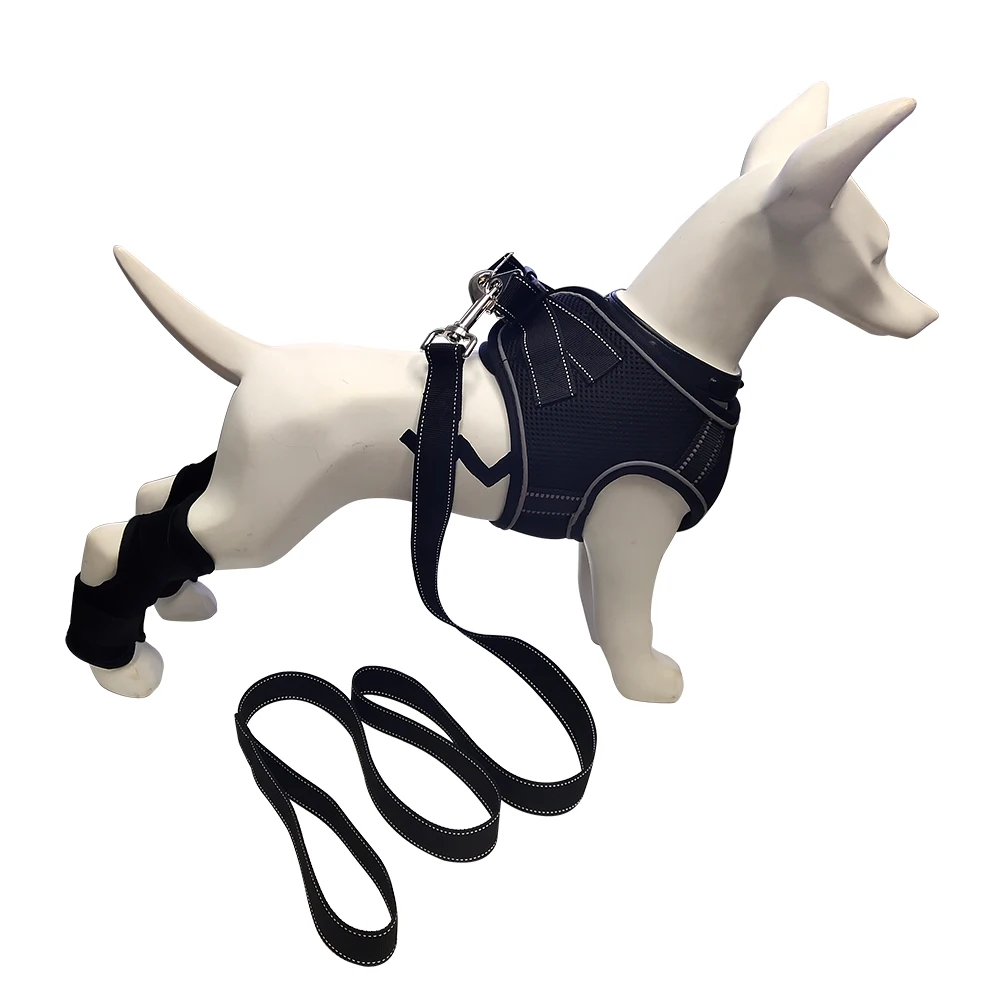 Custom Logo Nylon Designers Adjustable Dog Collar Dog Chest Strap Harness, Black or customized
Custom Logo Nylon Designers Adjustable Dog Collar Dog Chest Strap Harness, Black or customized