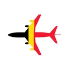 China to Belgium International Air/International Express/Small Parcel Transportation