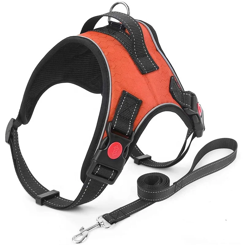 Medium And Large Dog Leash Wholesale Vest Dog Chain Comfortable Adjustable Dog Harness Leashes Suit, Multi
Medium And Large Dog Leash Wholesale Vest Dog Chain Comfortable Adjustable Dog Harness Leashes Suit, Multi