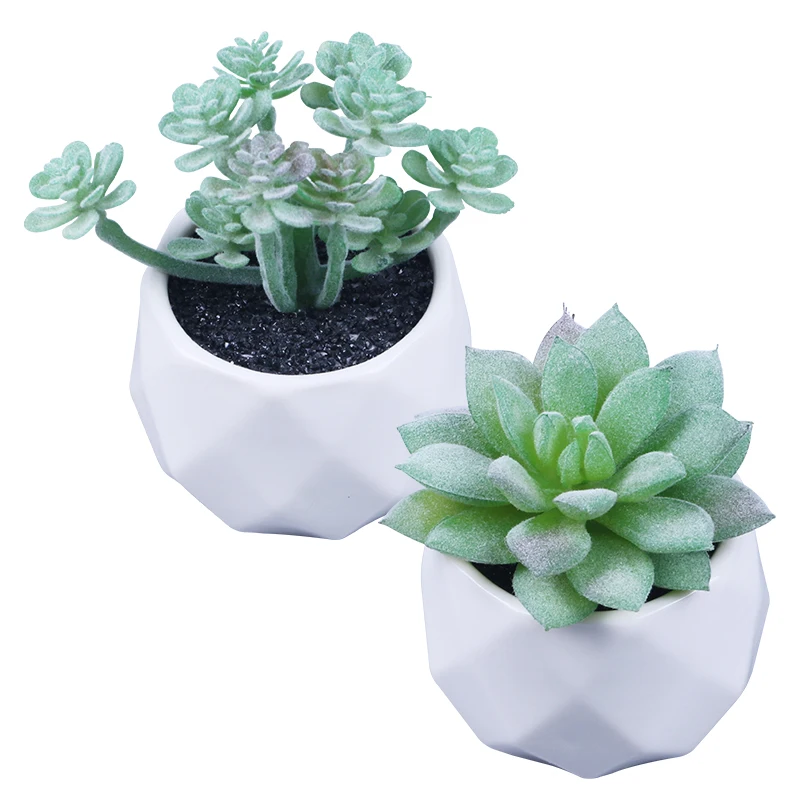 ES1156-11 Wholesale Mini ceramic pot flocking Artificial succulent plants ceramic pots for succulent plants 
ES1156-11 Wholesale Mini ceramic pot flocking Artificial succulent plants ceramic pots for succulent plants