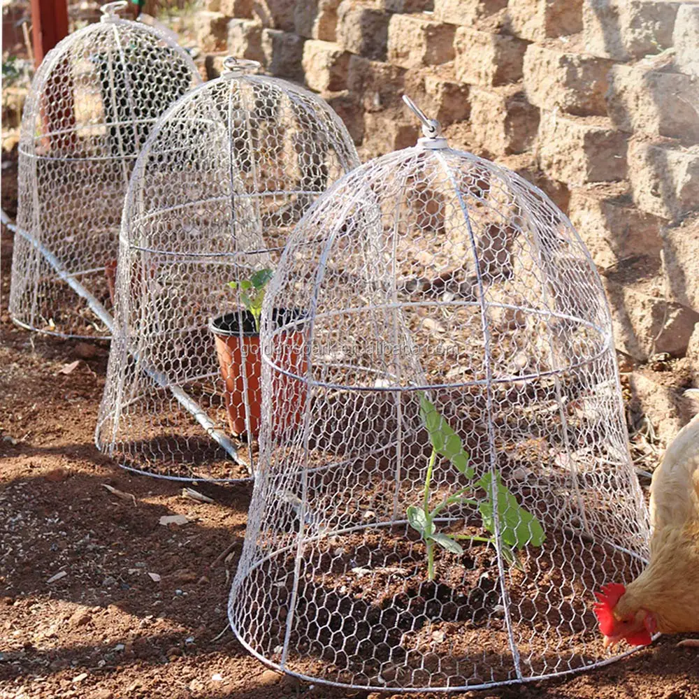 Sturdy Chicken Wire Cloche, Plant Cover and Protection Metal Pest Guard Cage Vegetable Protector, White
Sturdy Chicken Wire Cloche, Plant Cover and Protection Metal Pest Guard Cage Vegetable Protector, White