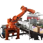 Automatic carton robot packing machine for coffee bean bag and black pepper package
