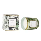 new design jasmine natural aroma scented candles with colored jars