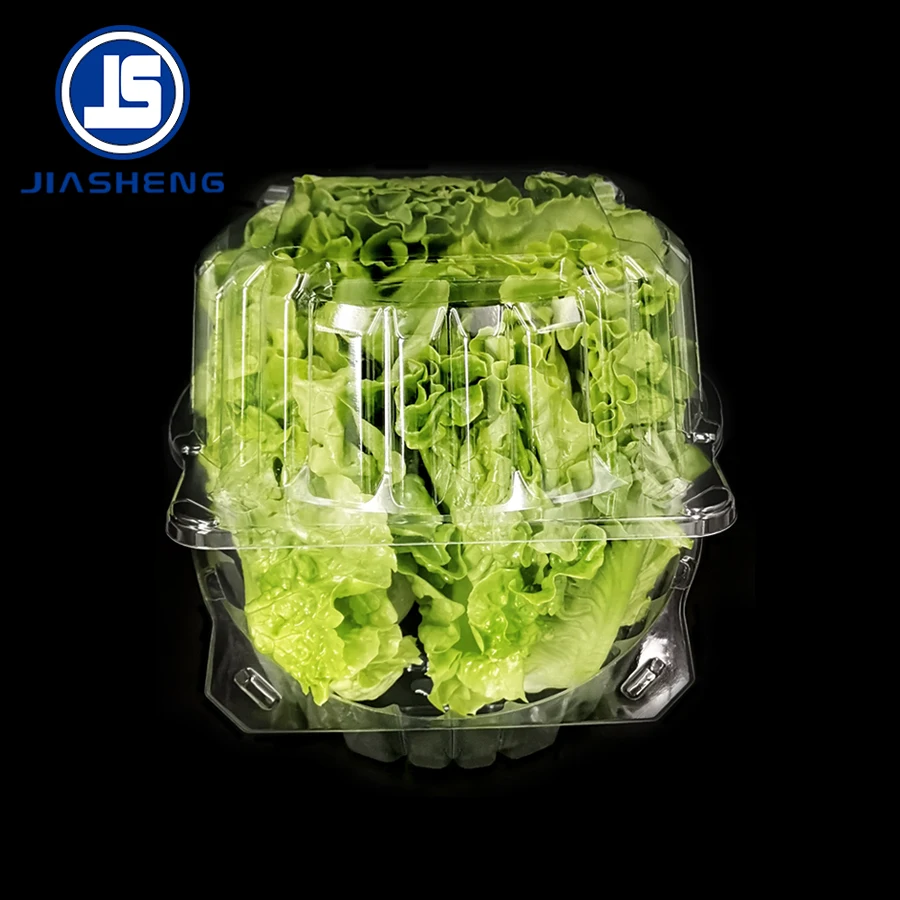 Disposable Clear Plastic Blister Lettuce Clamshell Packaging For