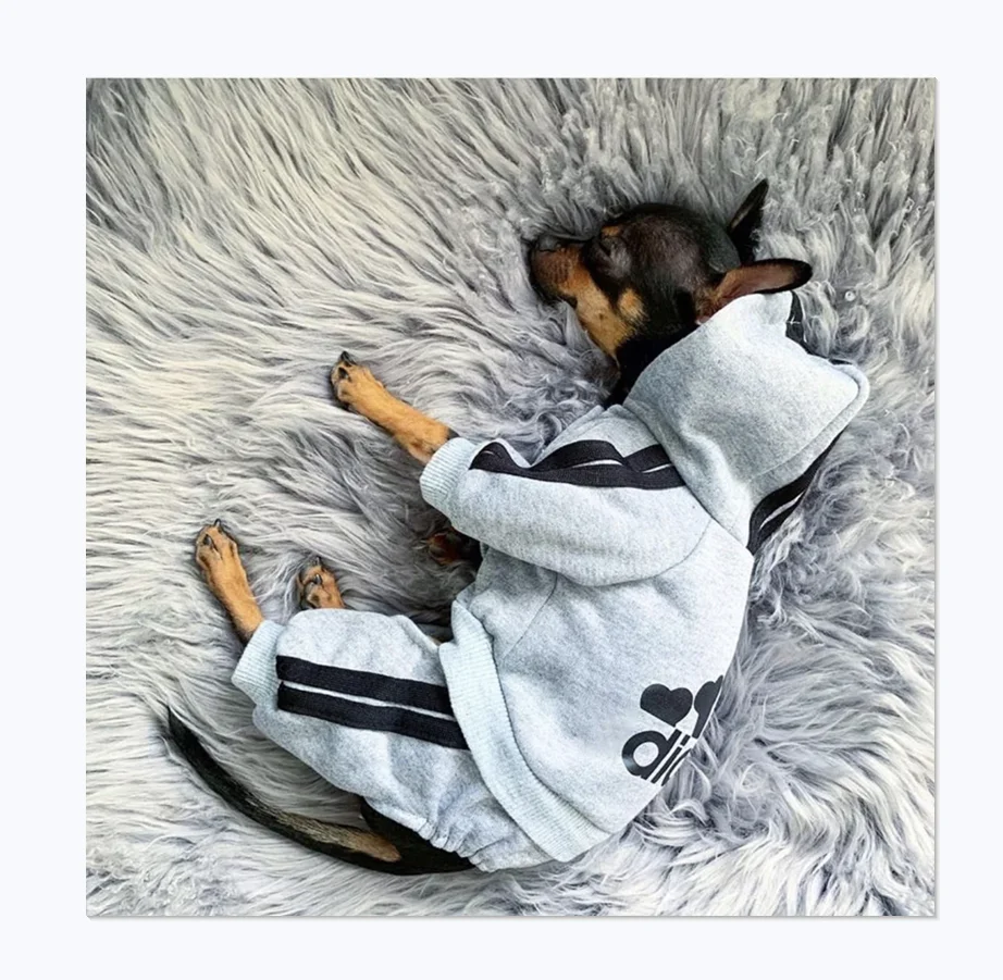 Factory Price Wholesale Pet Sweater Four-legged Clothes Well-known Sports Brand Big Dog Hoodie
Factory Price Wholesale Pet Sweater Four-legged Clothes Well-known Sports Brand Big Dog Hoodie