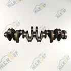 Newland High Performance Engine Parts Crank shaft for BMW N55B30 Crankshaft