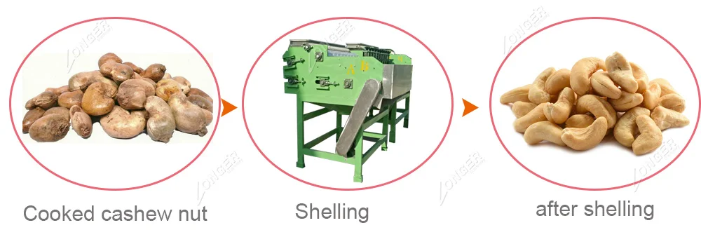 1 kw cashew nut processing plant price cashew nut shell removing