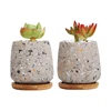 /product-detail/indoor-crown-half-round-concrete-cactus-planter-pot-with-bamboo-holder-62411573137.html