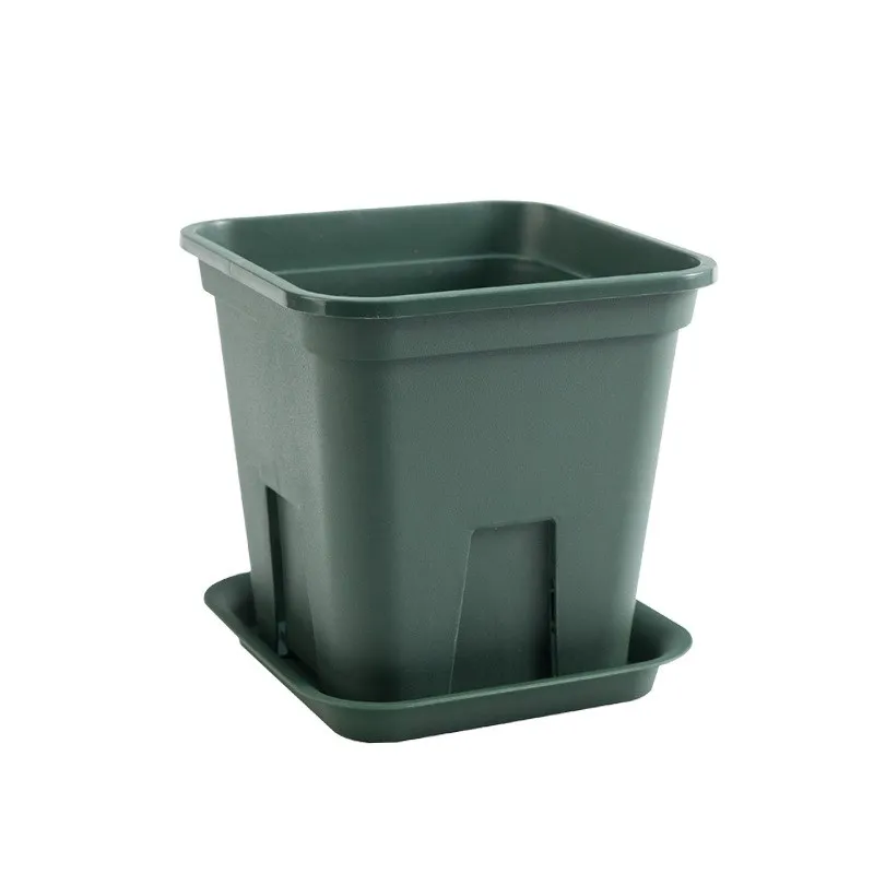 Wholesale high quality resin fleshy green radish root pots gallon plastic flower pot
Wholesale high quality resin fleshy green radish root pots gallon plastic flower pot