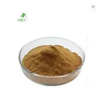100% Natural boldo leaf extract powder 10:1